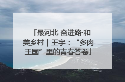 最河北 奋进路·和美乡村｜王宇：“多肉王国”里的青春答卷
