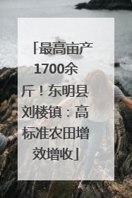 最高亩产1700余斤！东明县刘楼镇：高标准农田增效增收
