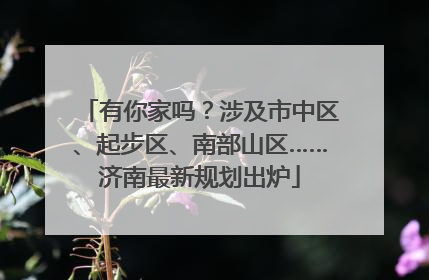 有你家吗？涉及市中区、起步区、南部山区……济南最新规划出炉