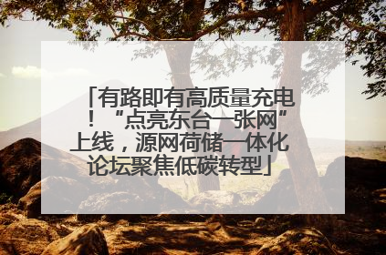 有路即有高质量充电！“点亮东台一张网”上线，源网荷储一体化论坛聚焦低碳转型