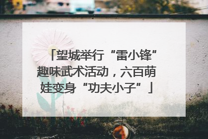 望城举行“雷小锋”趣味武术活动，六百萌娃变身“功夫小子”