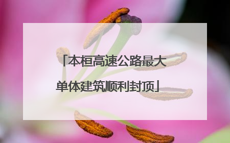 本桓高速公路最大单体建筑顺利封顶