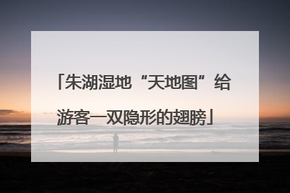 朱湖湿地“天地图”给游客一双隐形的翅膀