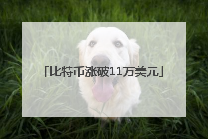 比特币涨破11万美元