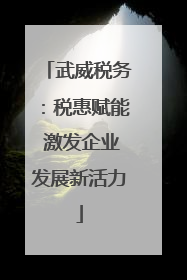 武威税务：税惠赋能 激发企业发展新活力