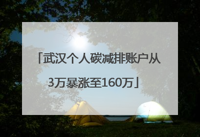 武汉个人碳减排账户从3万暴涨至160万