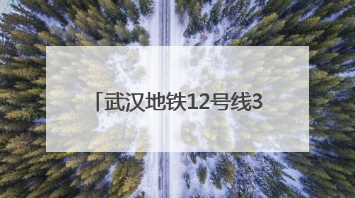 武汉地铁12号线37个站名正式公布
