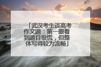 武汉考生谈高考作文题：第一眼看到题目很慌，但整体写得较为流畅