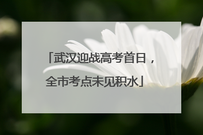 武汉迎战高考首日，全市考点未见积水