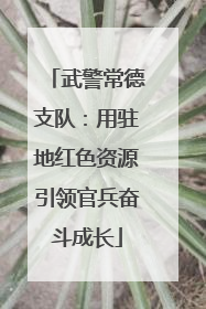 武警常德支队：用驻地红色资源引领官兵奋斗成长