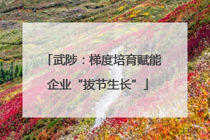 武陟：梯度培育赋能企业“拔节生长”