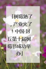树莓熟了，产业火了！中国·封丘第十届树莓节成功举办