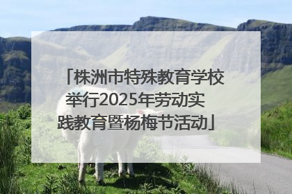 株洲市特殊教育学校举行2025年劳动实践教育暨杨梅节活动