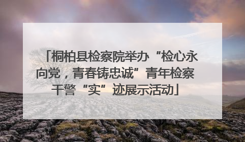桐柏县检察院举办“检心永向党，青春铸忠诚”青年检察干警“实”迹展示活动