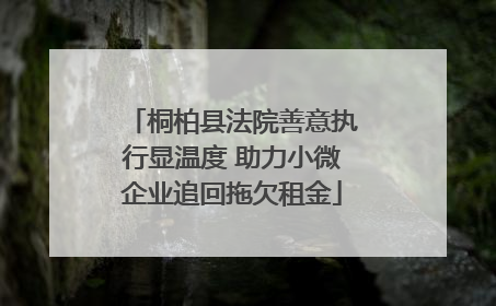 桐柏县法院善意执行显温度 助力小微企业追回拖欠租金