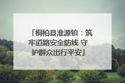 桐柏县淮源镇：筑牢道路安全防线 守护群众出行平安