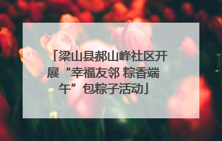 梁山县郝山峰社区开展“幸福友邻 粽香端午”包粽子活动