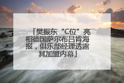 樊振东“C位”亮相德国萨尔布吕肯海报，俱乐部经理透露其加盟内幕