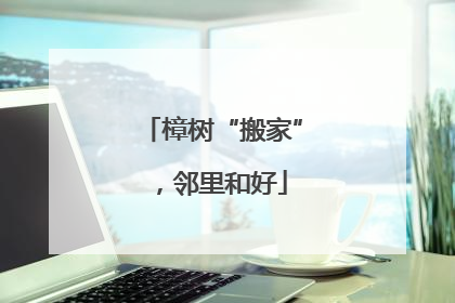 樟树“搬家”，邻里和好