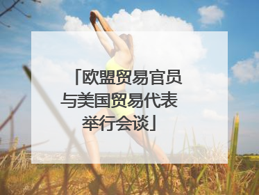 欧盟贸易官员与美国贸易代表举行会谈