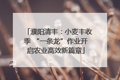 濮阳清丰：小麦丰收季 “一条龙”作业开启农业高效新篇章