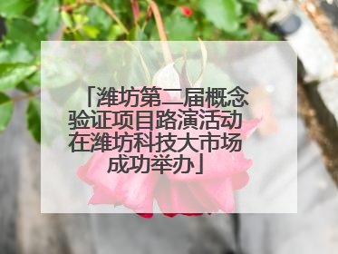 潍坊第二届概念验证项目路演活动在潍坊科技大市场成功举办