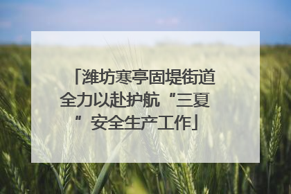 潍坊寒亭固堤街道全力以赴护航“三夏”安全生产工作