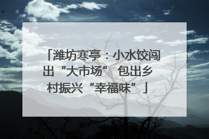 潍坊寒亭：小水饺闯出“大市场” 包出乡村振兴“幸福味”