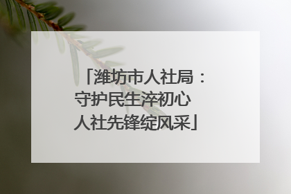 潍坊市人社局：守护民生淬初心 人社先锋绽风采