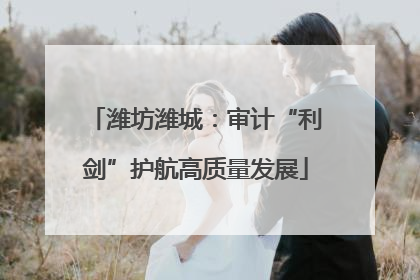 潍坊潍城：审计“利剑”护航高质量发展