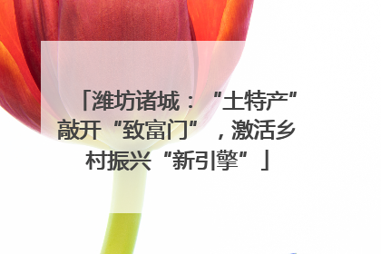 潍坊诸城：“土特产”敲开“致富门”，激活乡村振兴“新引擎”