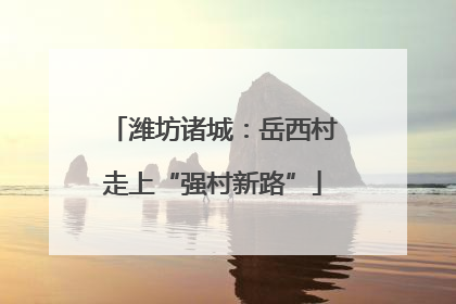 潍坊诸城：岳西村走上“强村新路”