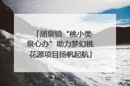 潮泉镇“桃小美·泉心办”助力梦幻桃花源项目扬帆起航