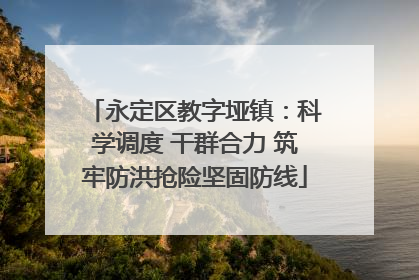 永定区教字垭镇：科学调度 干群合力 筑牢防洪抢险坚固防线