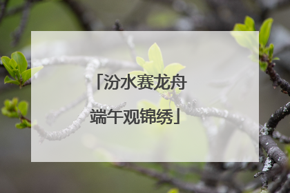 汾水赛龙舟 端午观锦绣