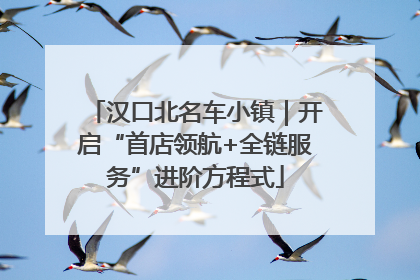 汉口北名车小镇｜开启“首店领航+全链服务”进阶方程式