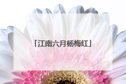 江南六月杨梅红