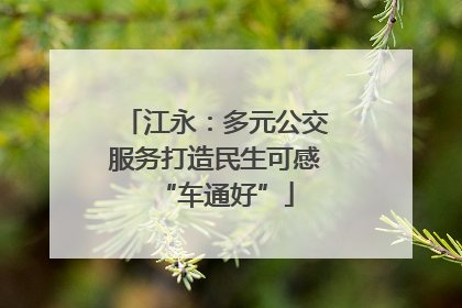 江永：多元公交服务打造民生可感“车通好”