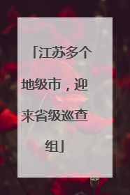 江苏多个地级市，迎来省级巡查组