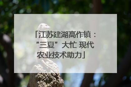 江苏建湖高作镇：“三夏”大忙 现代农业技术助力