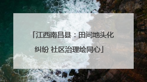 江西南昌县：田间地头化纠纷 社区治理绘同心