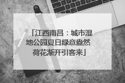 江西南昌：城市湿地公园夏日绿意盎然 荷花渐开引客来