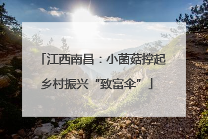 江西南昌：小菌菇撑起乡村振兴“致富伞”