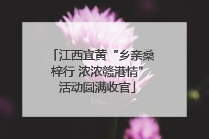 江西宜黄“乡亲桑梓行 浓浓赣港情”活动圆满收官