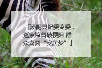汤阴县纪委监委：巡察监督破梗阻 群众喜圆“安居梦”