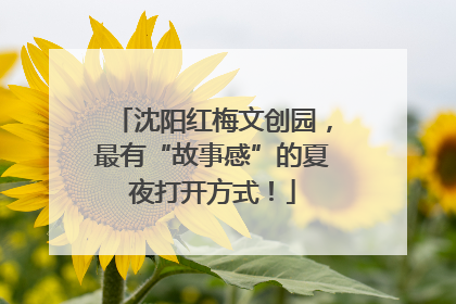 沈阳红梅文创园，最有“故事感”的夏夜打开方式！