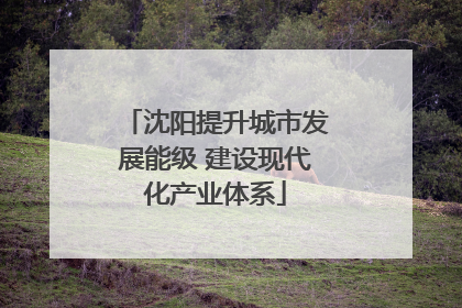 沈阳提升城市发展能级 建设现代化产业体系