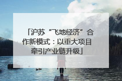 沪苏“飞地经济”合作新模式：以重大项目牵引产业链升级