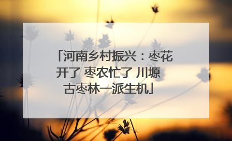 河南乡村振兴：枣花开了 枣农忙了 川塬古枣林一派生机