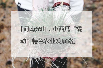 河南光山：小西瓜“撬动”特色农业发展路